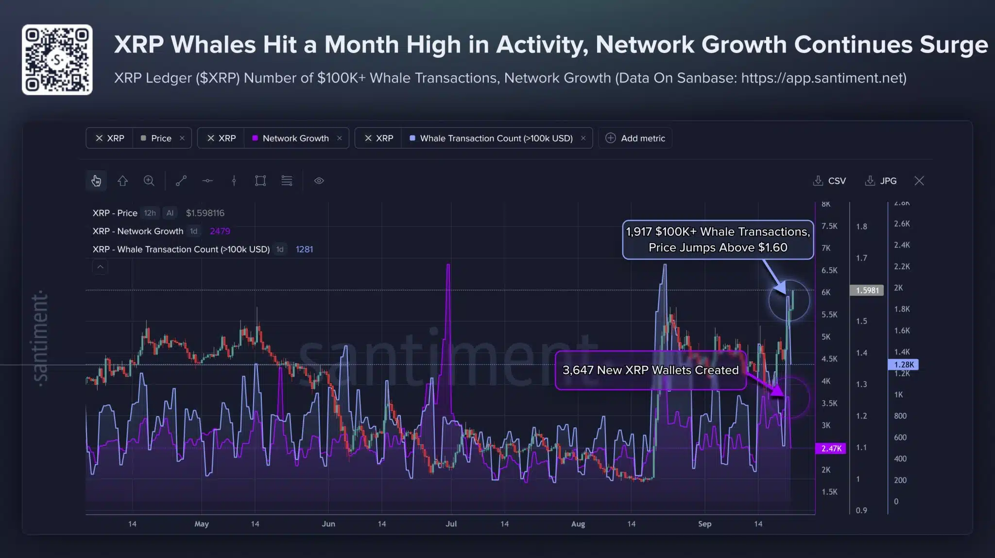 xrp whale activity hits a month high xrp whale activity hits a month high