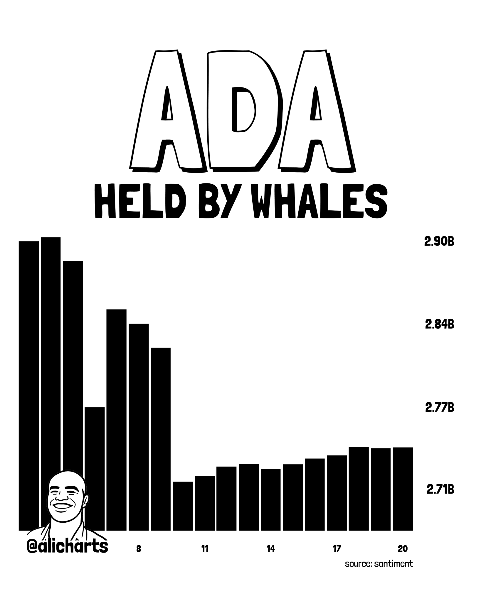 Cardano Whale Holdings