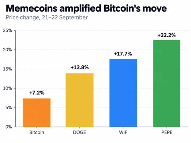 Memecoins Amplified