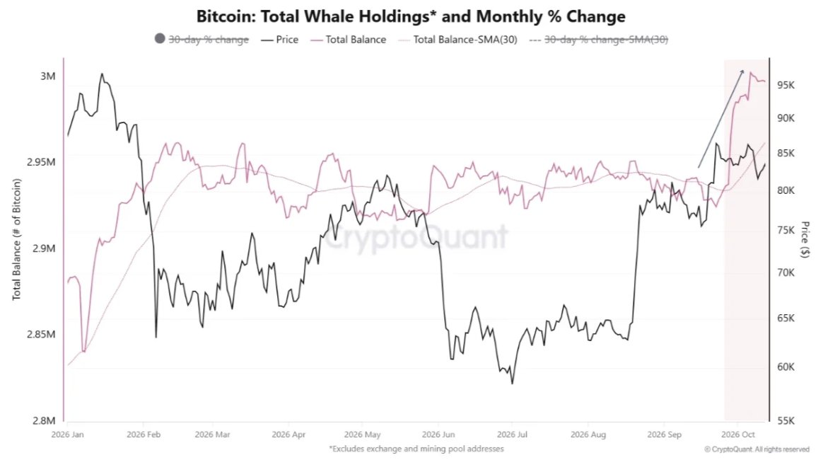 bitcoin total whale holdings